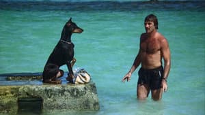 Magnum, P.I. — foto 12