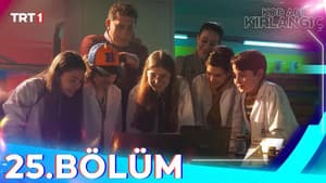 Episodio 25