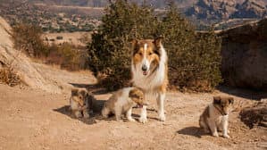 Lassie: The Miracle — foto 2