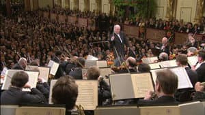 Neujahrskonzert der Wiener Philharmoniker 2009 — foto 8