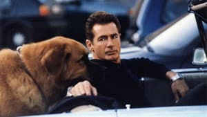 Tequila and Bonetti — foto 1