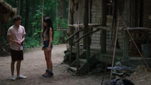 The Hermit — foto 12