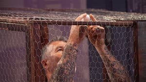 Episodio 7
