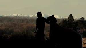 The True Story of Billy the Horse — foto 1