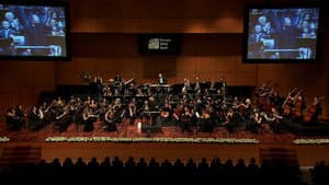 Bifo & CMYLMZ — foto 3