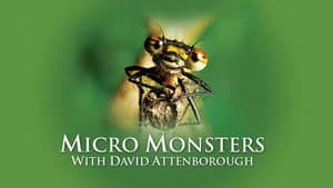 Micro Monsters with David Attenborough — foto 8