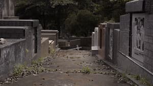 Andorinhas — foto 1