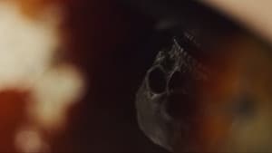 Trick or Treat 2! — foto 1