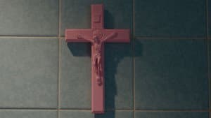 Malmequer — foto 1