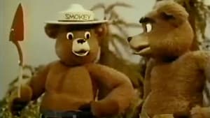 Ballad of Smokey the Bear — foto 4