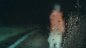 Dashcam — foto 3