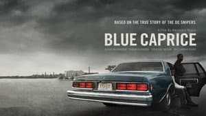 Blue Caprice — foto 4