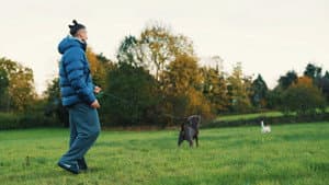 Radu Drăgușin: Life & Recovery — foto 1