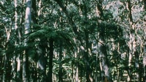 Australian Bush — foto 7
