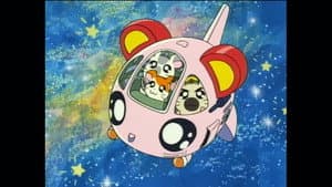 Hamtaro — foto 3