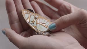 Larva — foto 1