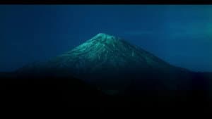 درخت گلابی — foto 12