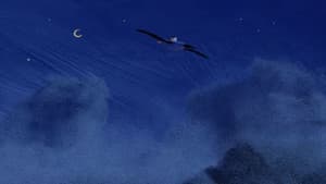 Earth To Albatross — foto 1