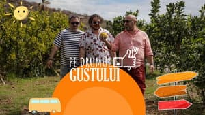 Episodio 6