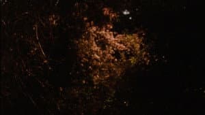 The Return — foto 8