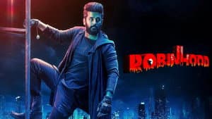 రాబిన్‌హుడ్ — foto 1