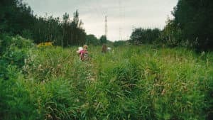 Peau de pêche — foto 1