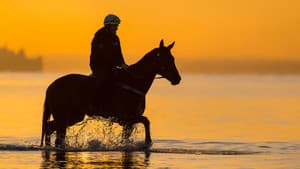 A Horse Named Winx — foto 2