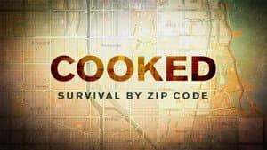 Cooked: Survival by Zip Code — foto 1
