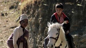 Kalo Pothi — foto 6