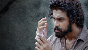 కిన్నెర‌సాని — foto 1
