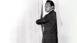 Siamo tutti Alberto Sordi? — foto 1
