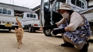五香宮の猫 — foto 1