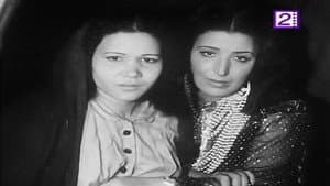 ابن البلد — foto 1