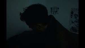 Cocon — foto 1