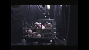 Undercover — foto 1