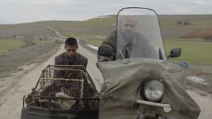 Tavşan İmparatorluğu — foto 2
