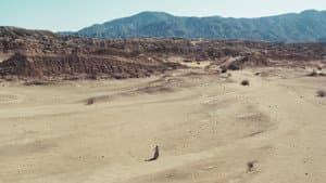 Pioneers — foto 10