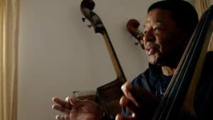 Buster Williams Bass to Infinity — foto 3