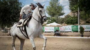 Goya: Visions of Flesh and Blood — foto 6