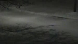 snow, finally — foto 2