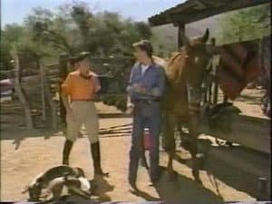Episodio 13