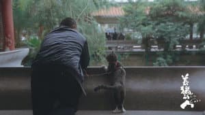 养猫的人 — foto 1