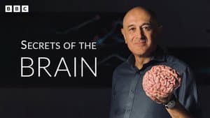 Secrets of the Brain — foto 2
