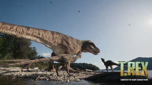T. REX — foto 2