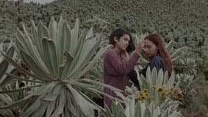 Ave — foto 1