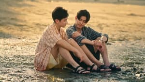 ต้นส้มบ้านเขา แต่ผลส้มหล่นมาบ้านเราตลอดเลย — foto 5