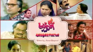 Aangan Terha — foto 2