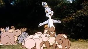 Dot and the Bunny — foto 1