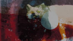 Mogwai: As the Love Continues — foto 1