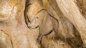 Grotte Chauvet - Dans les pas des artistes de la Préhistoire — foto 5